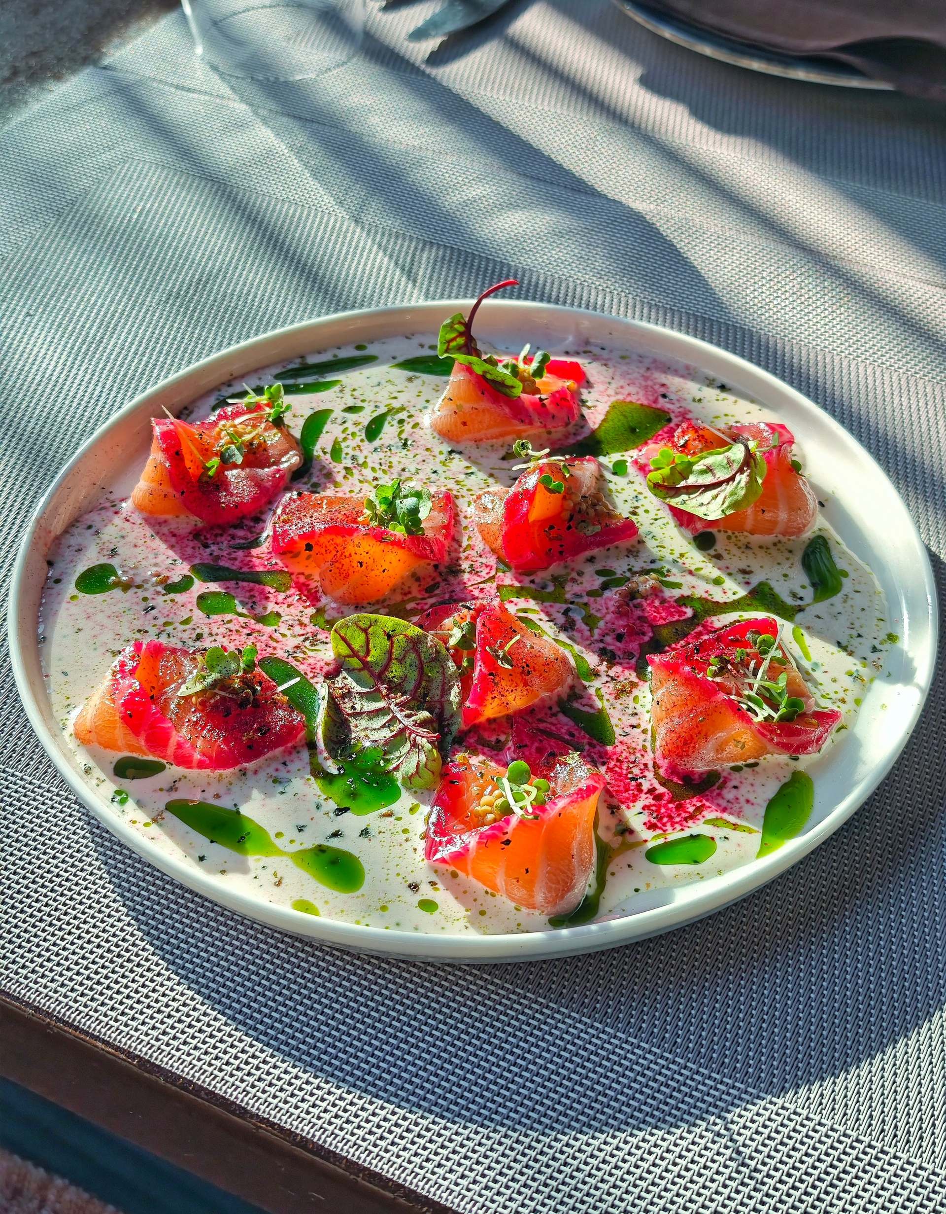 Beetroot-cured salmon with magenta edges in a white sauce, with green oil, red-veined leaves and micro herbs on a white plate