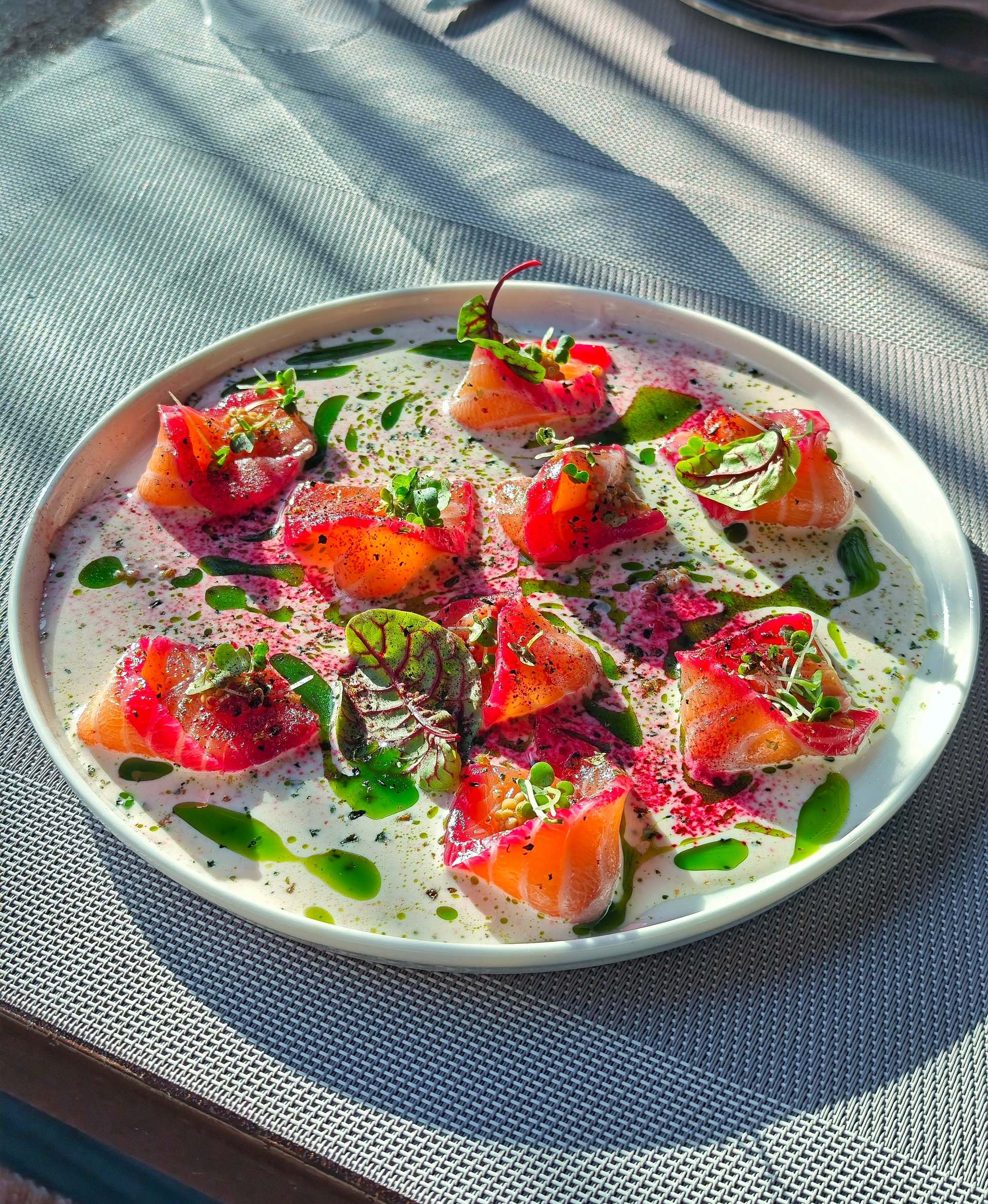 Beetroot-cured salmon with magenta edges in a white sauce, with green oil, red-veined leaves and micro herbs on a white plate